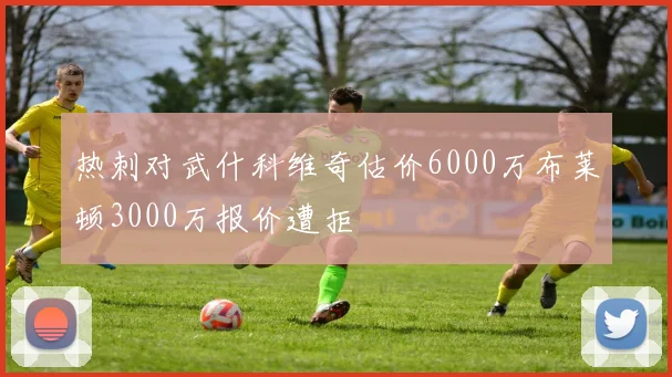 热刺对武什科维奇估价6000万布莱顿3000万报价遭拒